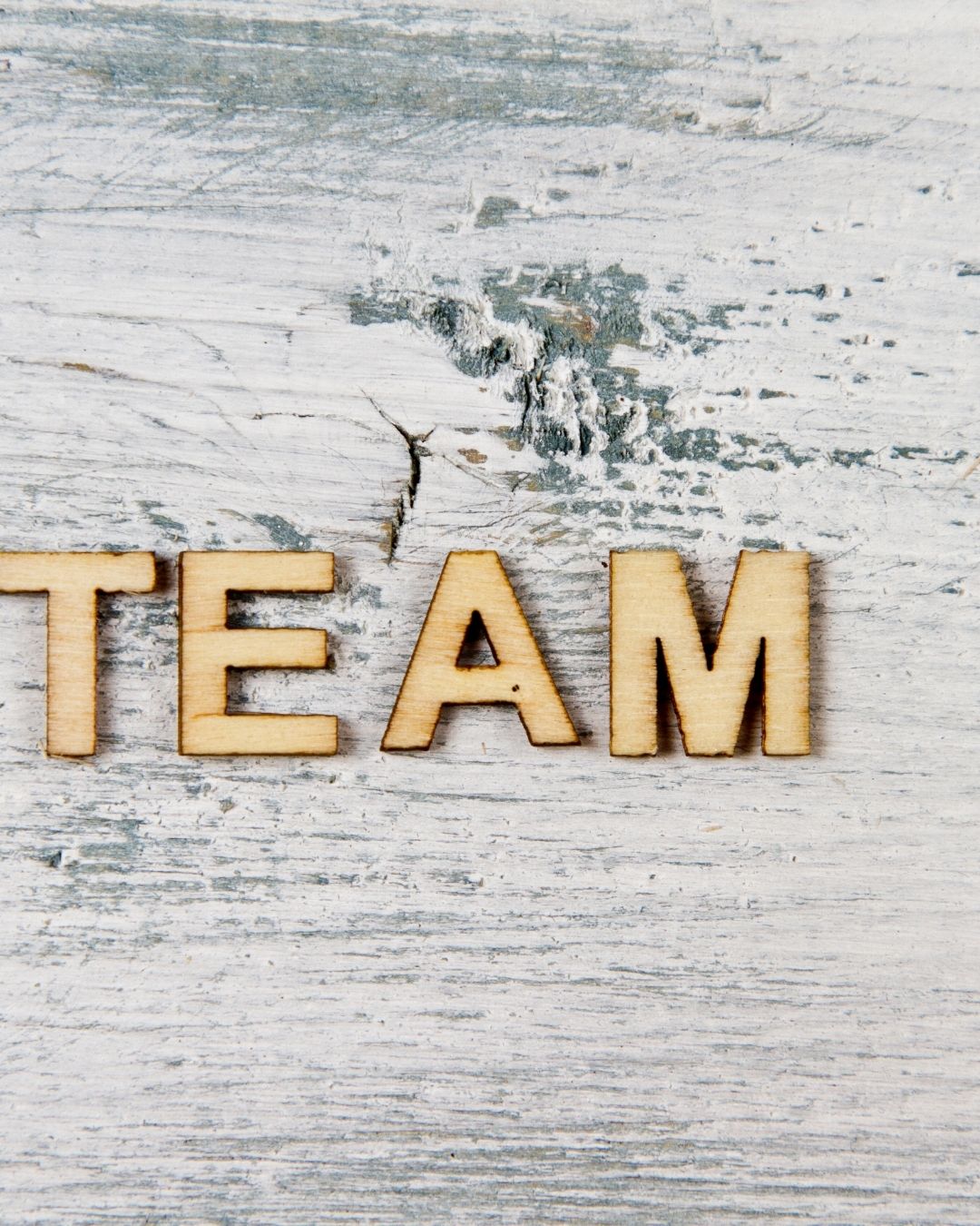 SGGI Team